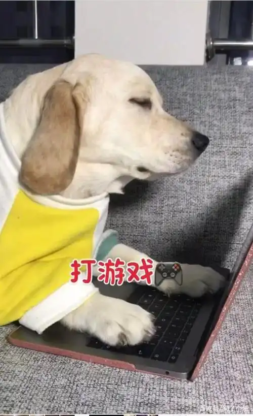 我打游戏为什么总输?看完下面的图顿时就明白了