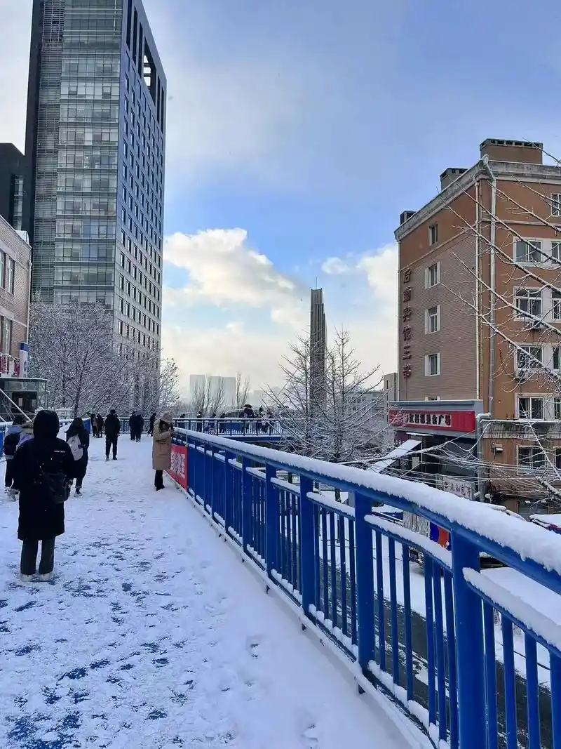 收到女儿发来的图片,2022年大连的第一场雪,在这寒冷的天气 - 抖音