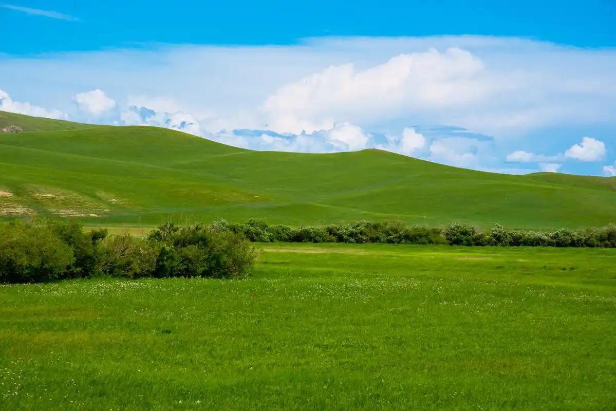 奔赴春天的旅行# 踏春初到那拉提草原,我被它的美丽景色所震撼.