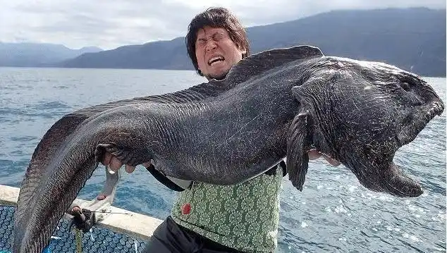 日本福岛核辐射下的50死士孤独抢修核辐射下核电站现在怎么样了