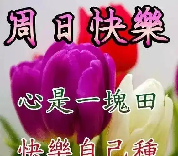 3月14日(星期日)祝福图片