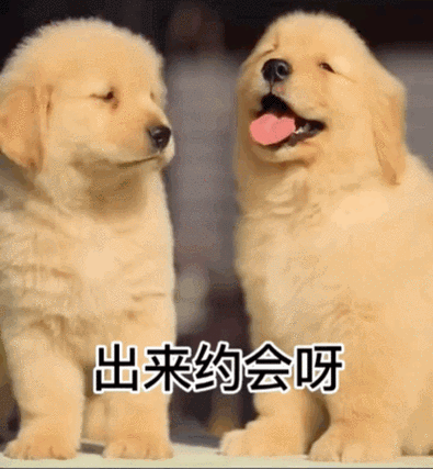 出来约会呀 我馋你了 你懂我意思嘛-表情图片 - 壁纸之家