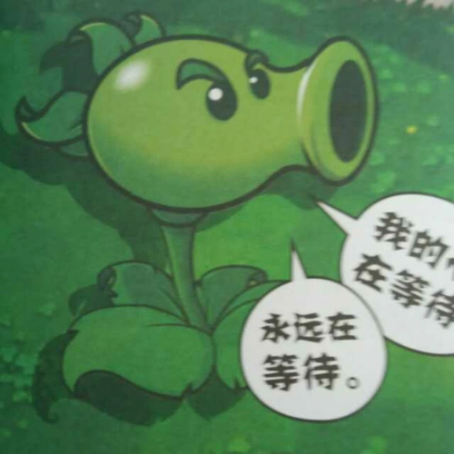 植物大战僵尸1终极图鉴(双重射手)