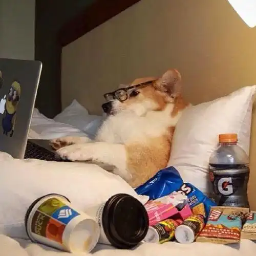 第27期:单身狗的几大标志