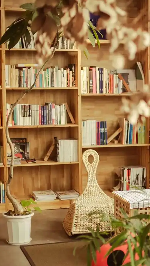 小清新文艺范静物图片高清手机壁纸