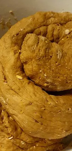 慎入我做的一坨屎而已