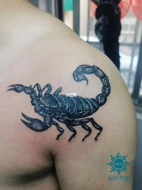 大臂老图遮盖蝎子纹身