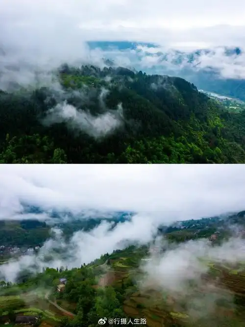 大金佛山178环山趣驾##五一趣南川178上撒个欢##陪你过五一