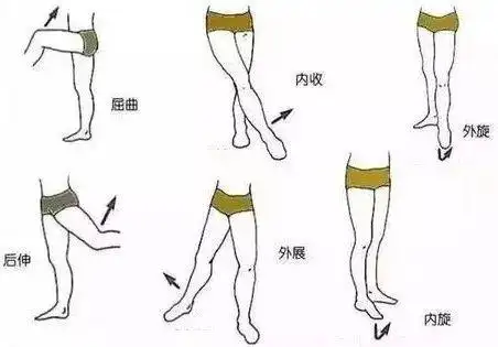 走路外八字,并腿蹲不下,髋关节嘎嘣响,我需要一场手术