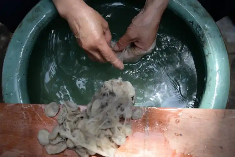 浙江湖州:"世界丝绸之源"的新丝路