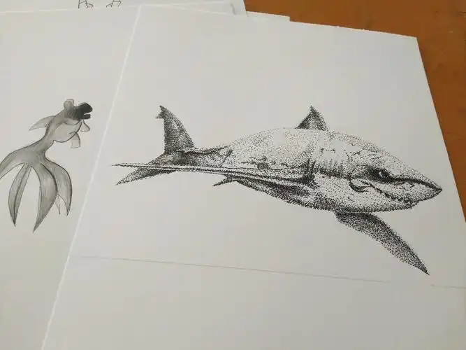 鲨鱼|纯艺术|绘画|一本正经的吴 - 临摹作品 - 站酷 (zcool)