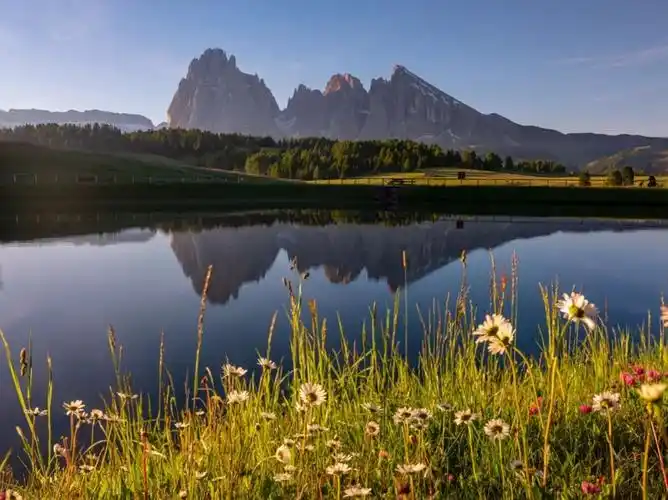 景深合成,让摄影作品由近到远都清晰!一招搞定.