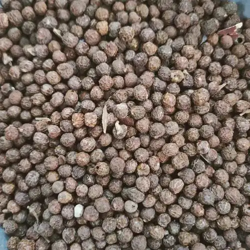 梧桐籽 梧桐子 中药材批发 正品梧桐子 瓢儿果 1000g克-阿里巴巴