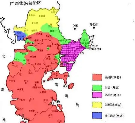 为什么有人说广东省廉江市一些人是越南后裔却假装汉人?__财经头条