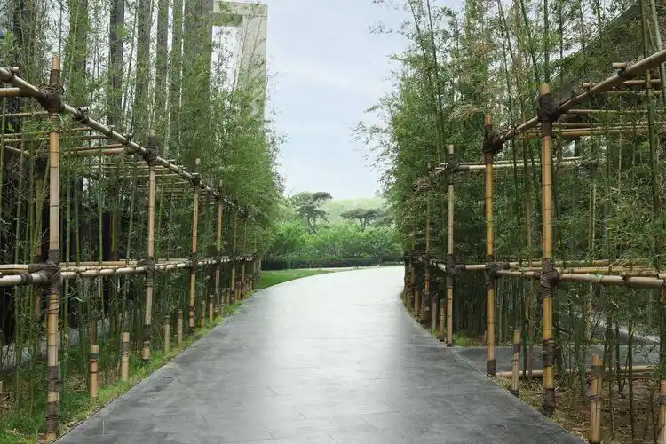 给自然以诗北京宝格丽酒店开启夏日音乐诗会与自然对话