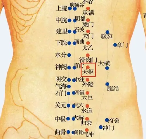 穴位消食导滞小妙招