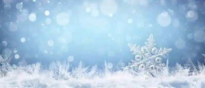 自然雪景上的雪花关闭圣诞节和冬季背景照片