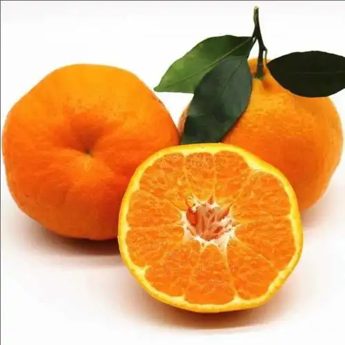 5斤装四川春见耙耙柑丑橘