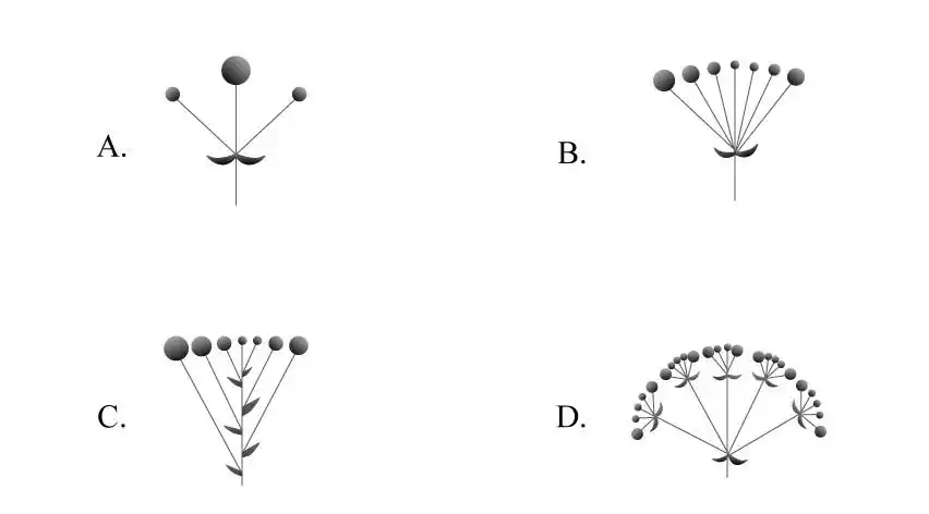 根据上述定义,下列属于伞房花序的是