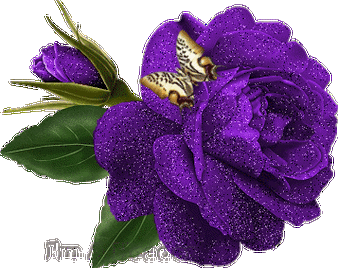 357_283gif 动态图 动图