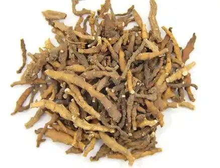 藏菖蒲图片藏菖蒲的功效与作用