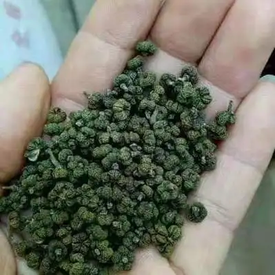 吴茱萸价格行情_今日吴茱萸价格多少钱一斤 _ 一亩田