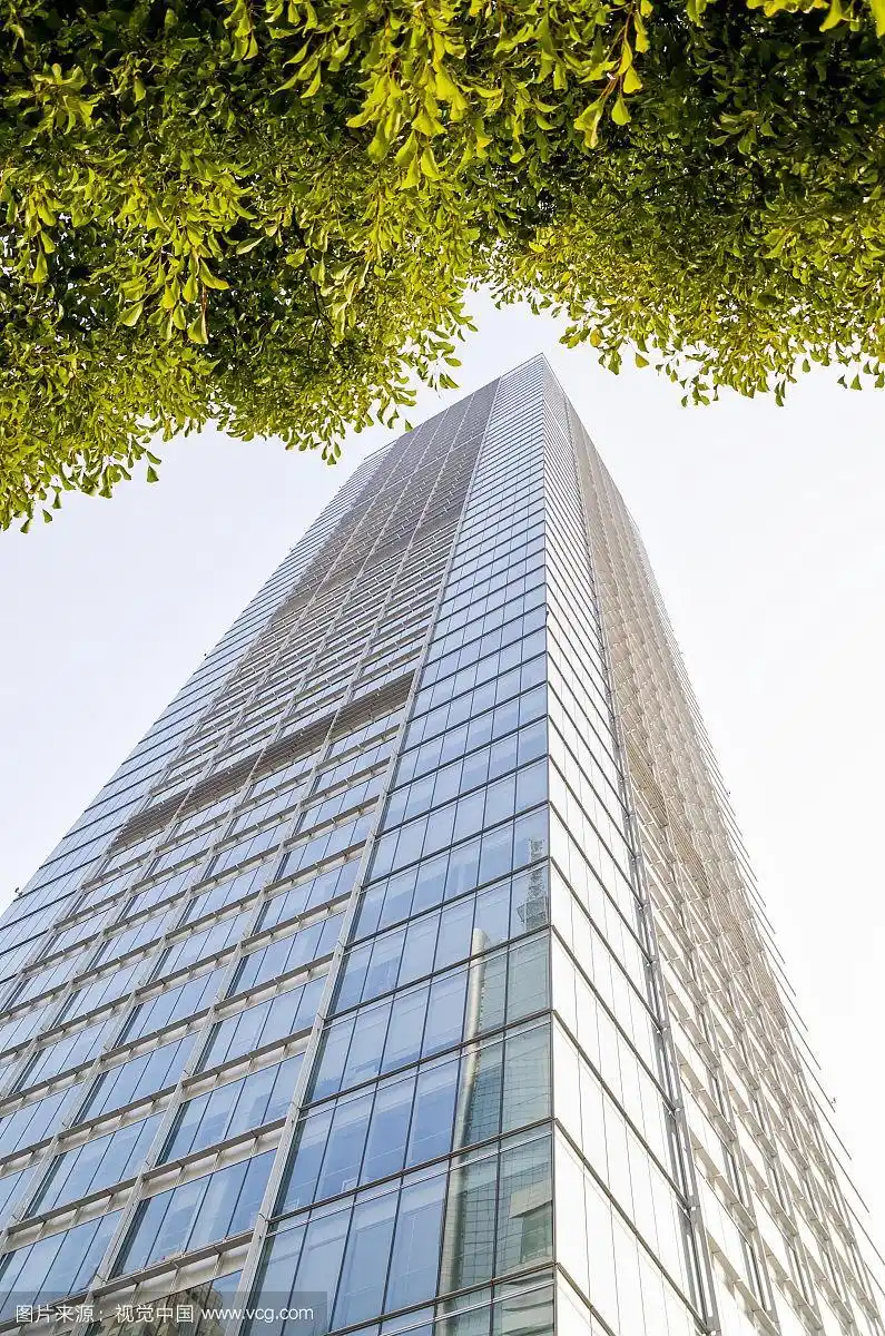 仰视绿叶和高楼