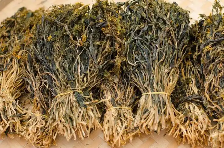 自晒清甜菜心干脱水蔬菜煲汤靓干货自制青菜500g家庭特惠嫩菜心一斤