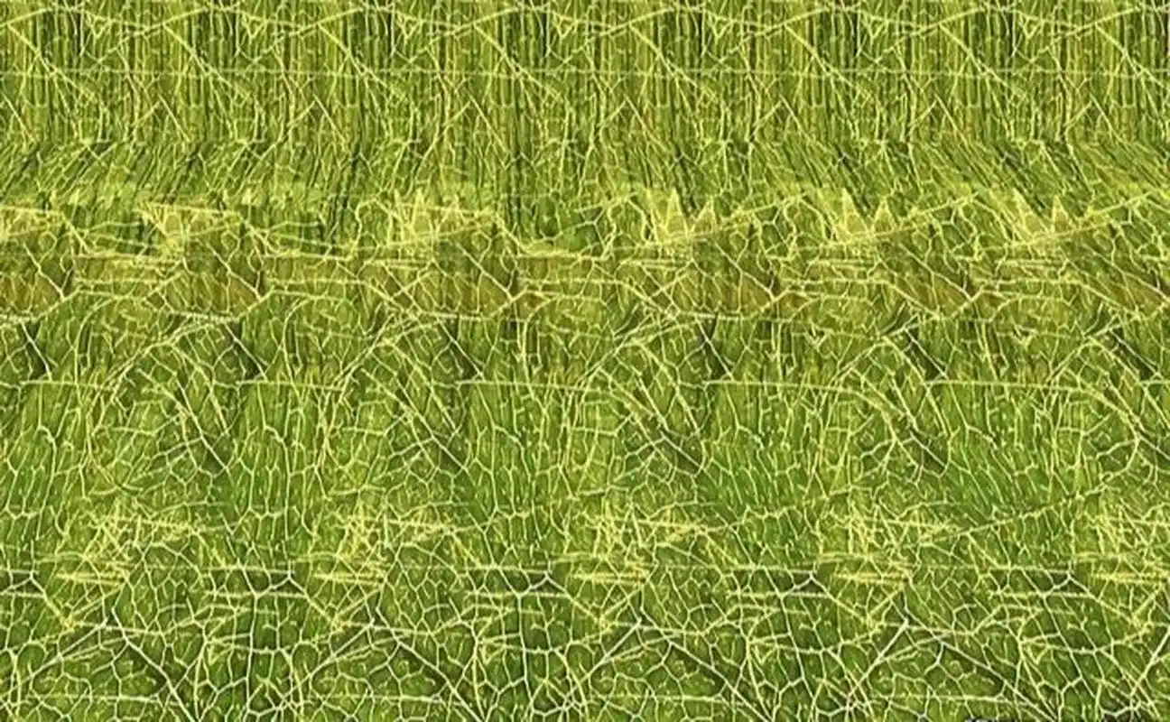 三维立体图 三维立体图(十七)用交叉眼看的3d,平行眼是看不出来的.