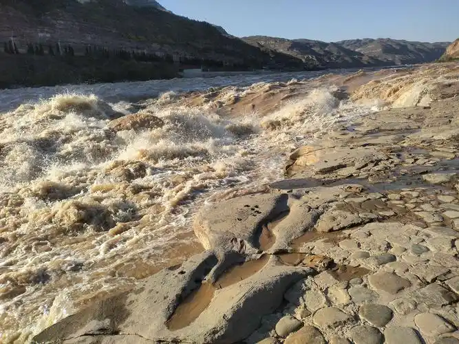 大槐树和黄河壶口瀑布(十)