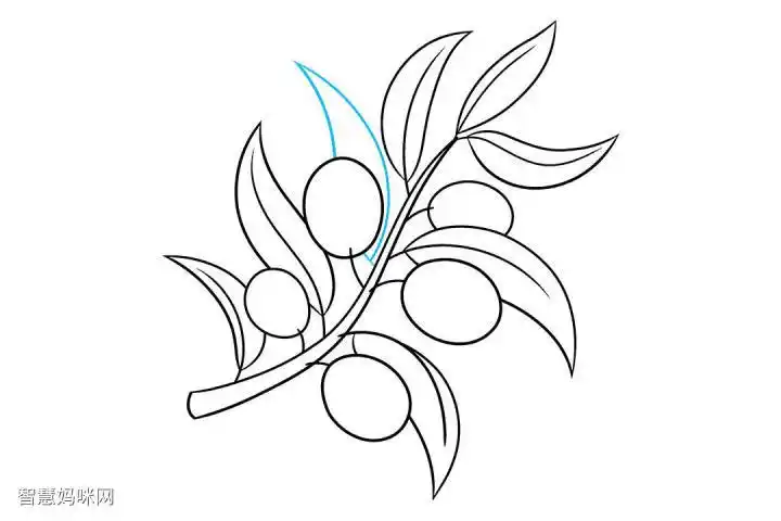 橄榄枝怎么画-图9
