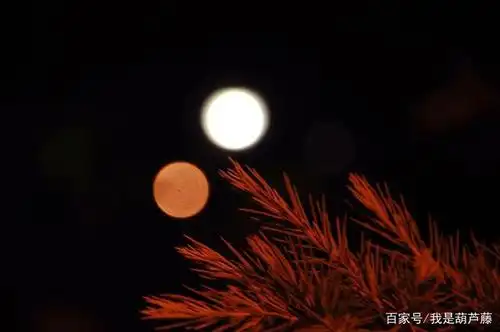 诗一首,日月同辉