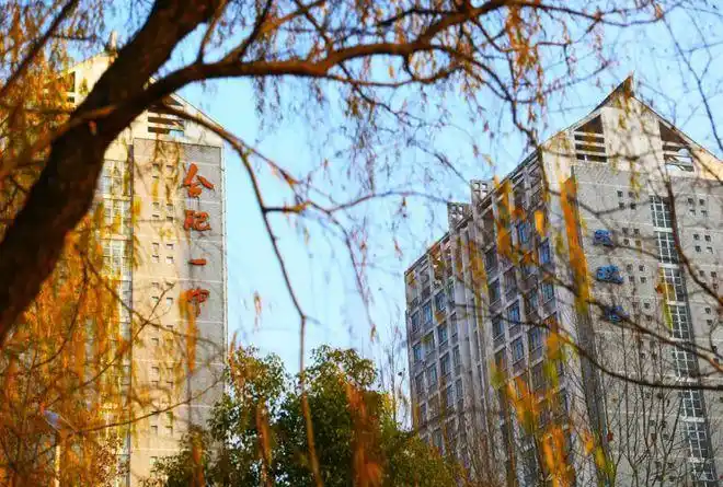 2022年寒假合肥一中致学生家长的一封信