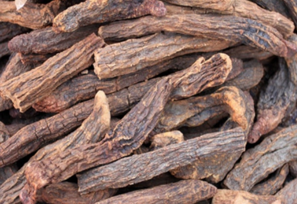 【锁阳图片】_功效作用_食用禁忌_苹果绿