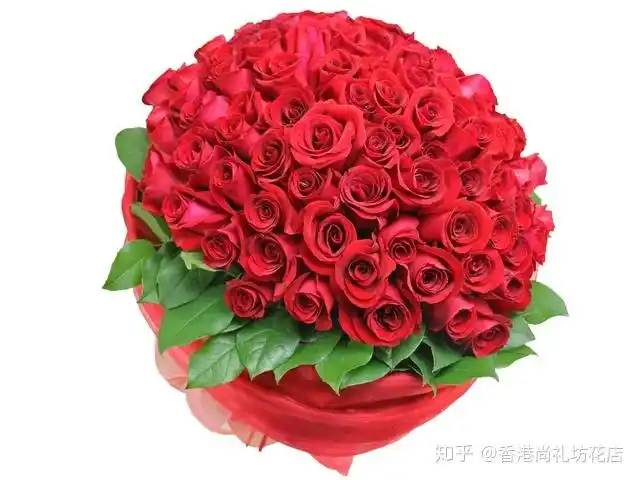 花语特辑鲜花花语及其意义