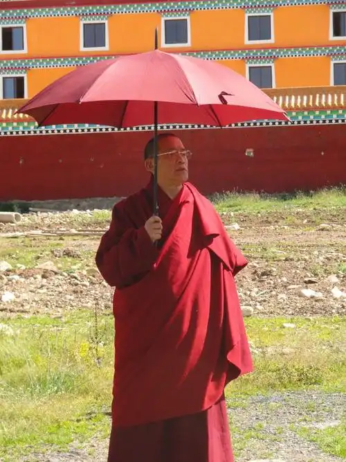 白玛格桑法王的无尽智(4)