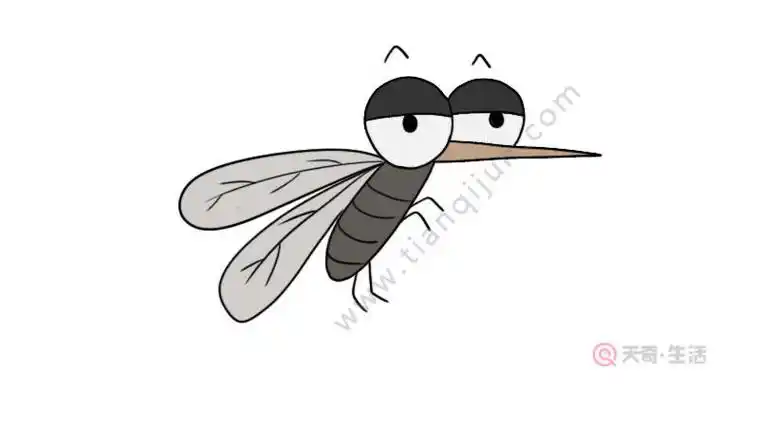 蚊子简笔画