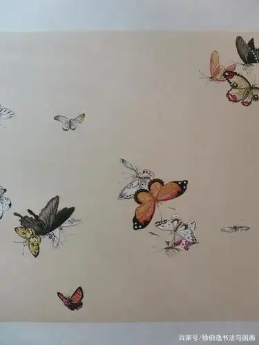 徐伯逸笔下的百蝶图