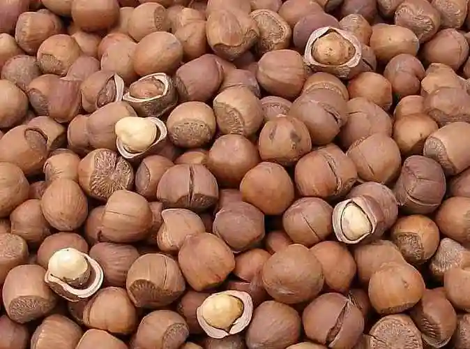 盘点春节最受欢迎的十大坚果,任选其中三样,足以收获全家人的心