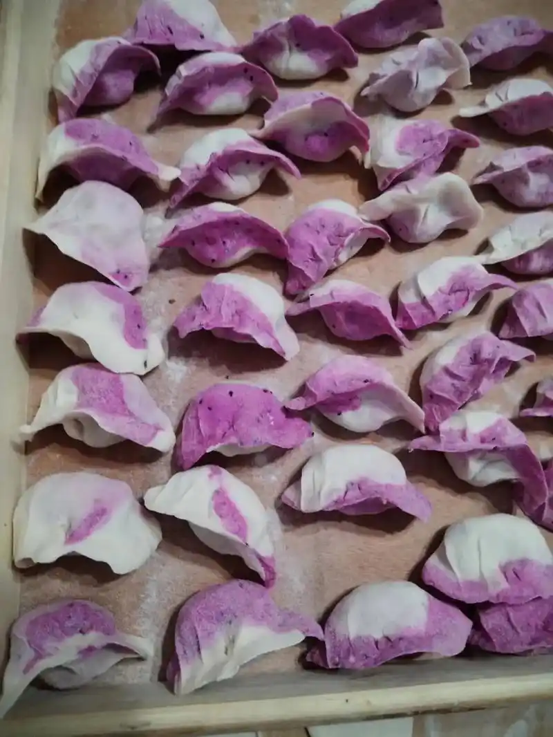 彩色饺子#彩色饺子 #手工包饺子 #花样饺子包法  - 抖音