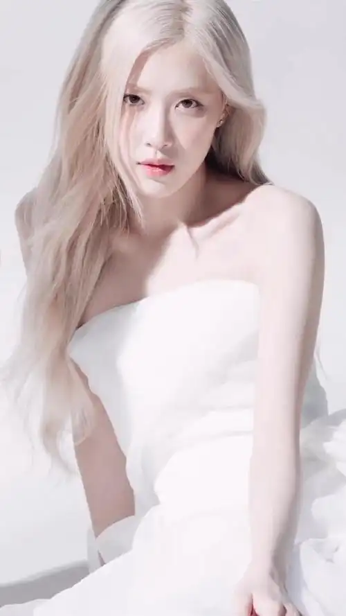 澳洲野玫瑰 朴彩英 rose 高清壁纸图来了 喜欢肉的直接收图