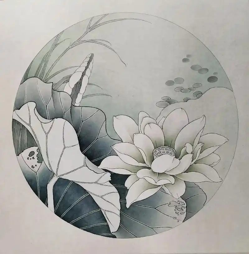 荷花,荷叶,背景,水草,浮萍的分染及用色.#工笔画 - 抖音