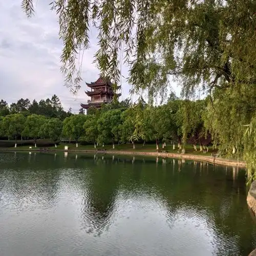 桐乡新世纪公园月湖治理一新