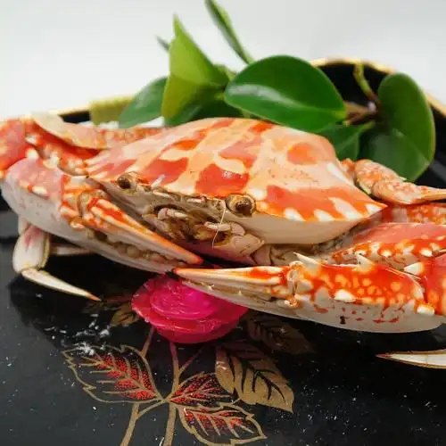 粤东水产养殖联盟花蟹批发