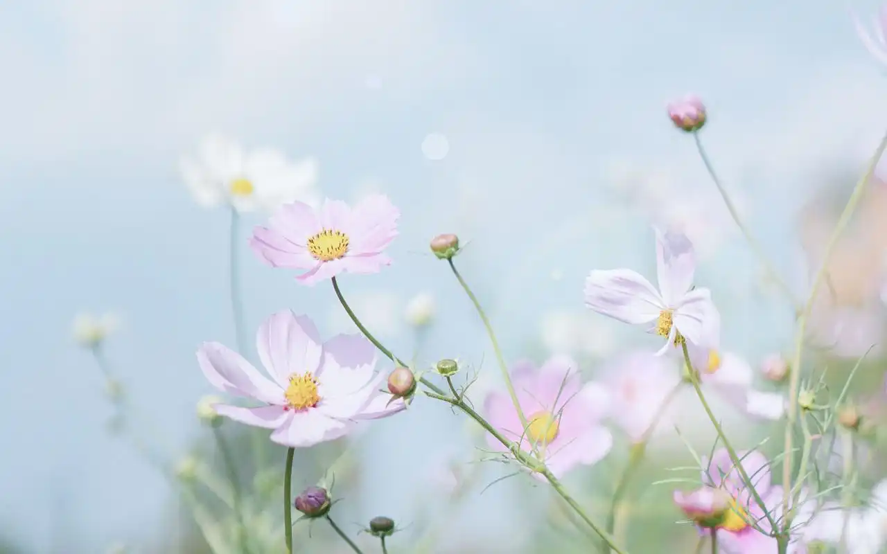 小清新唯美风景图片高清桌面壁纸