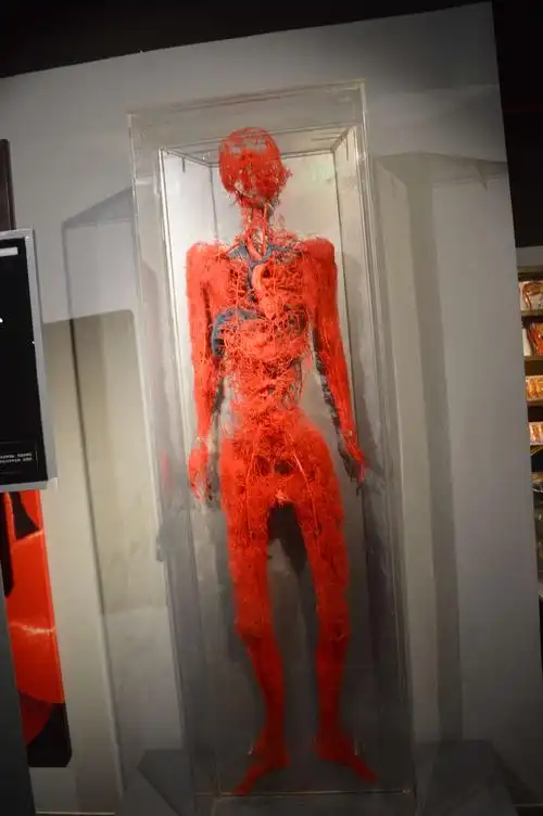 周庄生命奥秘博物馆.