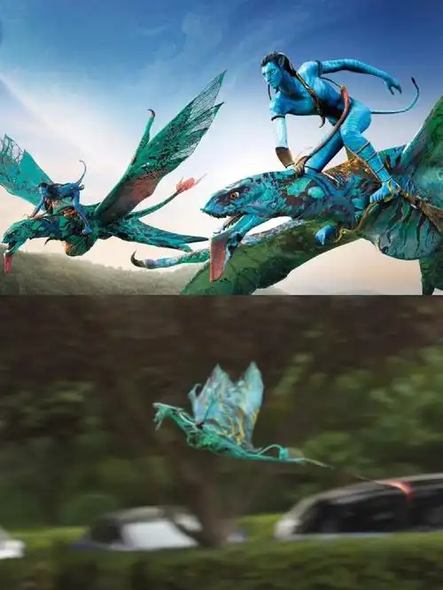 这不是阿凡达2里的那啥②上映了