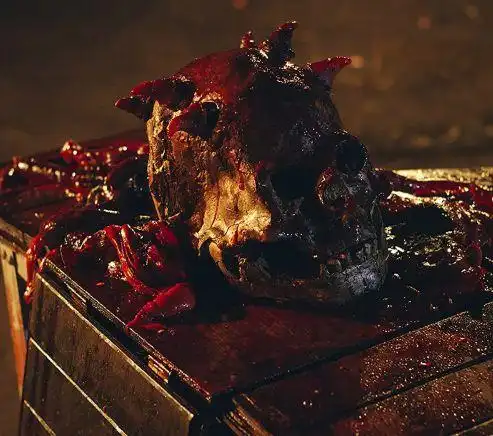 深夜恐怖片之血腥小骷髅!