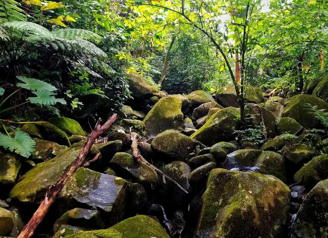 手机摄影 #贵港 #平天山#光影 #峡谷 寻原始幽静峡谷, - 抖音