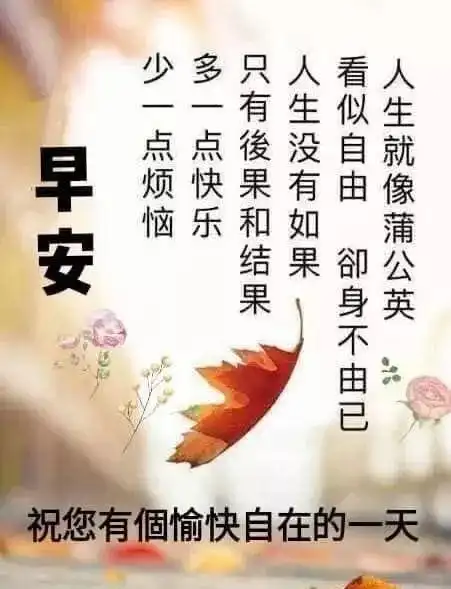 2022漂亮的早上好图片动态温馨句子早安问候祝福动态表情图片